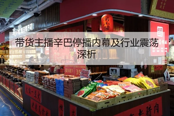 带货主播辛巴停播内幕及行业震荡深析