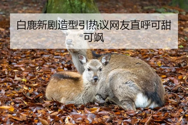 白鹿新剧造型引热议网友直呼可甜可飒